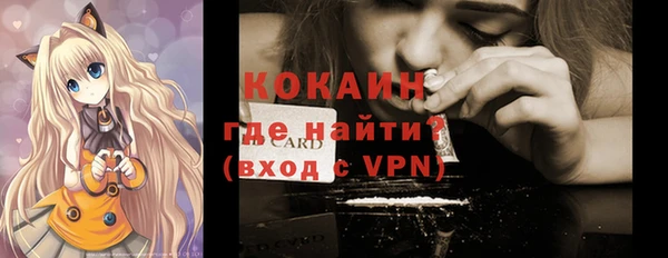 дживик Семилуки