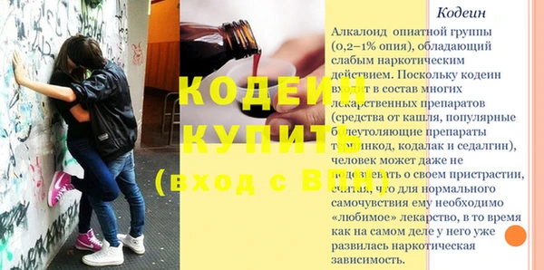 дживик Семилуки