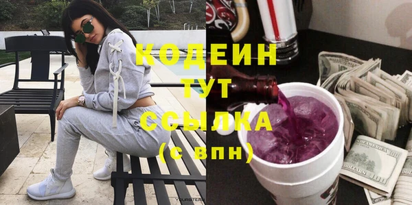 дживик Семилуки
