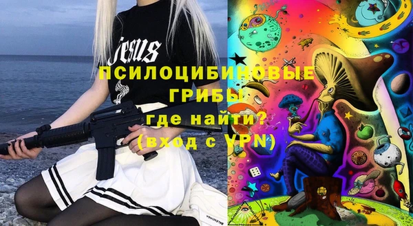 дживик Семилуки